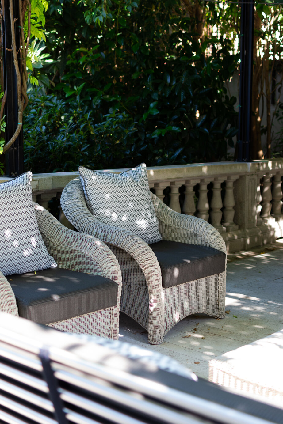 img_2980.jpeg img_2980.jpeg