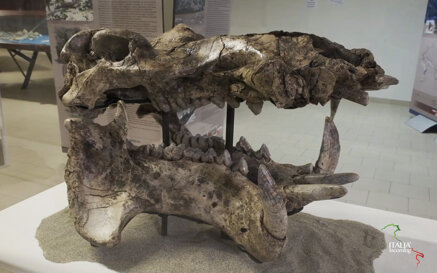 630cd8bf557ec50f61bef3ce6a88b6711aab9a03