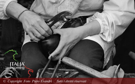 a6030206192ee7b1d674053e4e0b3f90509fa052