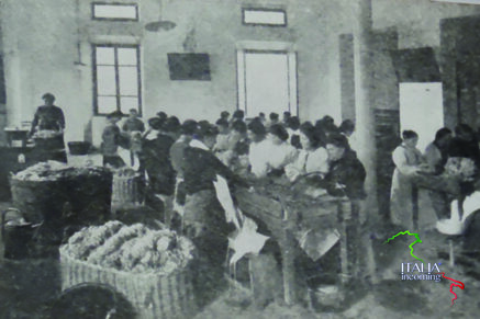 bc390e6ee050ee41b6b0b145b0c79eca8284a5b9