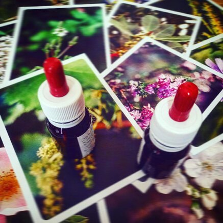 d93a0f7e71890da154e4f39b43e64b0fe55a890d.jpeg d93a0f7e71890da154e4f39b43e64b0fe55a890d.jpeg