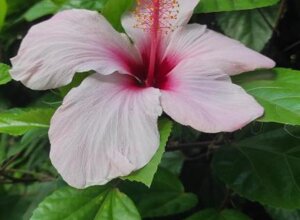 85a7d252-6a19-4ab0-a214-d8093b33ccb0.jpeg 85a7d252-6a19-4ab0-a214-d8093b33ccb0.jpeg