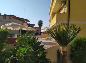 340366267.jpeg 340366267.jpeg