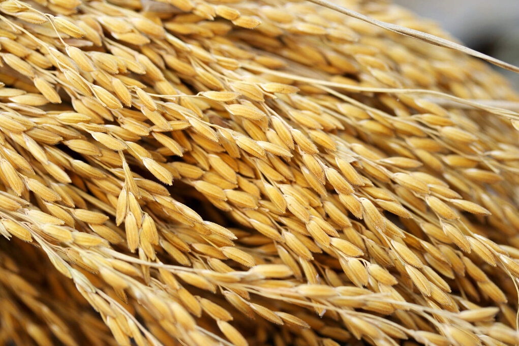 b8373bbd8d083fa59e1b654b5a5d59aa5c7cca1b b8373bbd8d083fa59e1b654b5a5d59aa5c7cca1b