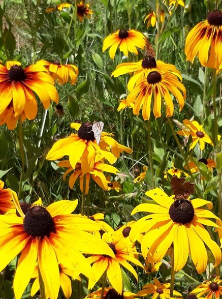 00fb5e658ed43e21a59af010db61bba68ff921d2 00fb5e658ed43e21a59af010db61bba68ff921d2