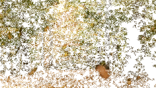 a149e171c47d39188bca7a6a472f96f8e94059b4