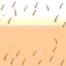 Immagine 6 Immagine 6