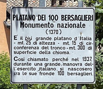 98edf650eb34d9755854d5e5ed6e4daebfbbc5f0.jpeg 98edf650eb34d9755854d5e5ed6e4daebfbbc5f0.jpeg