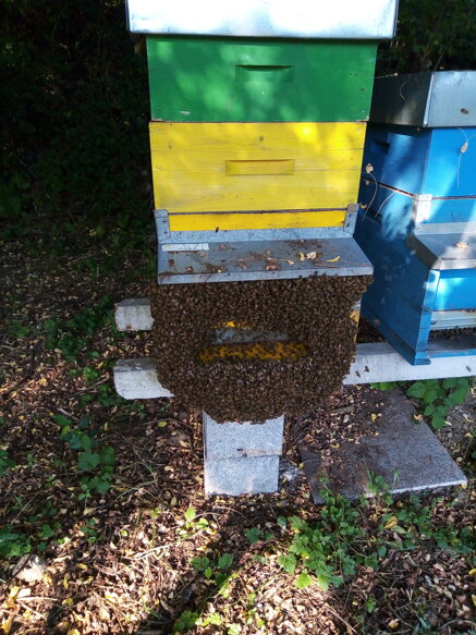 bc7ca5b2043609310e0c8eef3cefb073d0801c94 bc7ca5b2043609310e0c8eef3cefb073d0801c94