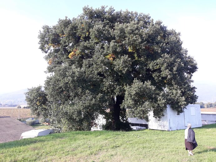 ca2b4d95261620f4a1ac6c7673474720603d5303.jpeg ca2b4d95261620f4a1ac6c7673474720603d5303.jpeg