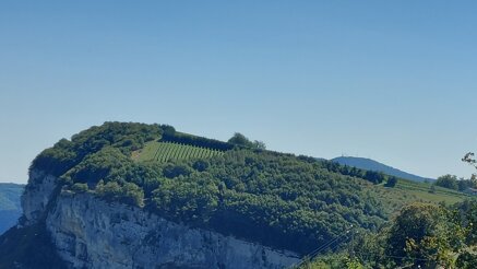 d6b4d42a8869697d54f2776e374ab7c71b3225a6