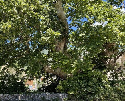 db147c451f956ec66c3595a7c8244221974d1540.jpeg db147c451f956ec66c3595a7c8244221974d1540.jpeg