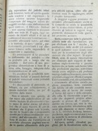 537def9a2b9f865dcdf94350aec6991e0618a7d1.jpeg