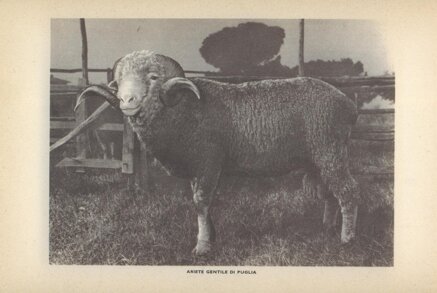 a1b3b7f9e5b1a3988fd07510bc106cbd6cb668ea