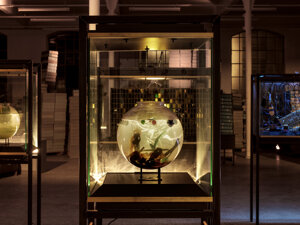 art director of La Fabbrica del Mondo installation for Marco Paolini and Telmo Pievani television program on Rai3