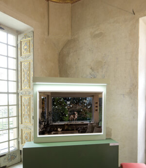 photography exhibition Divas dog portraits at Villa della Regina Torino