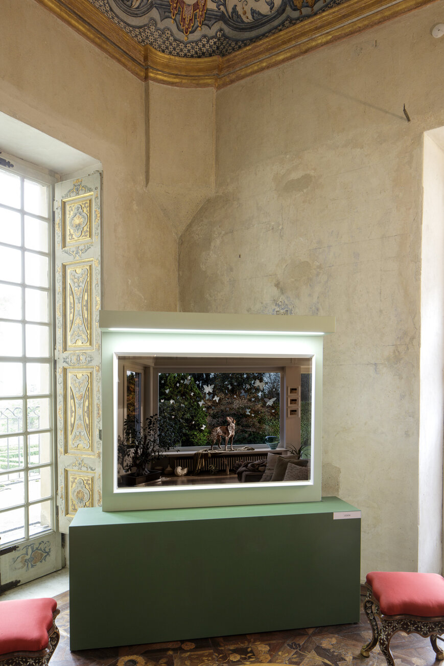 photography exhibition Divas dog portraits at Villa della Regina Torino