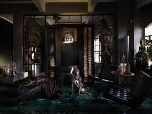 photography project about dogs in interiors