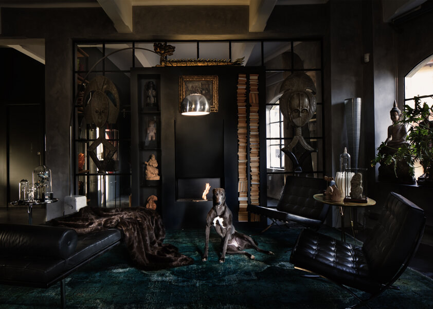 photography project about dogs in interiors
