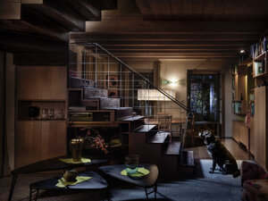 photography project about dogs in interiors