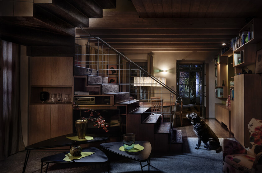 photography project about dogs in interiors