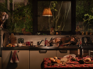 photography project about dogs in interiors