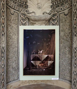 photography exhibition Divas dog portraits at Villa della Regina Torino