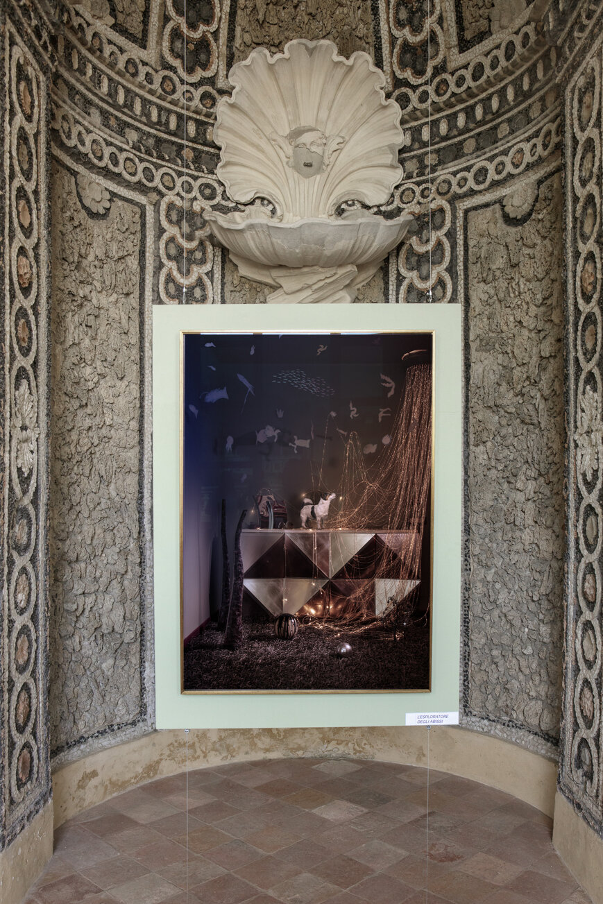 photography exhibition Divas dog portraits at Villa della Regina Torino