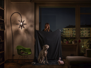 photography project about dogs in interiors