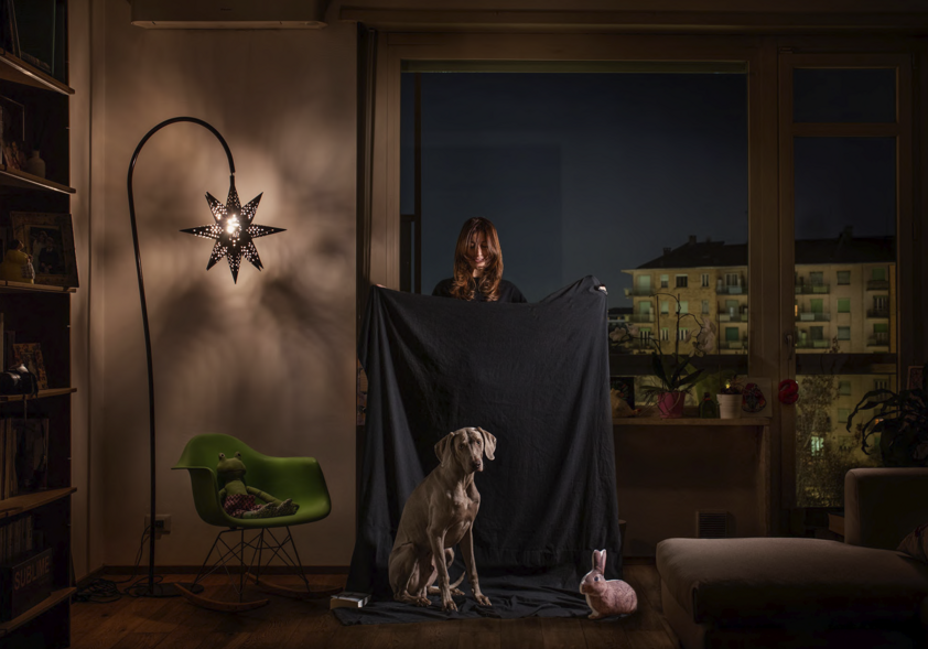 photography project about dogs in interiors