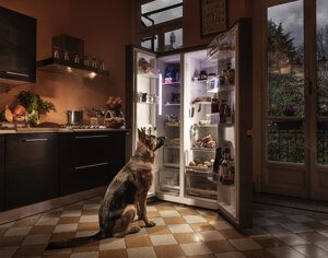 Lupus in fabula, Cave Canem