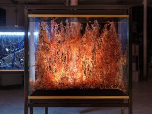 art director of La Fabbrica del Mondo installation for Marco Paolini and Telmo Pievani television program on Rai3