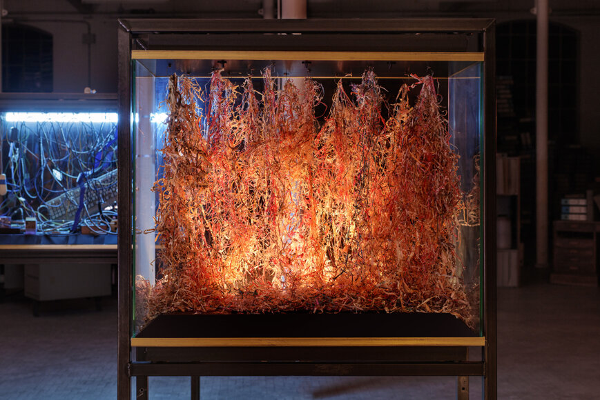 art director of La Fabbrica del Mondo installation for Marco Paolini and Telmo Pievani television program on Rai3