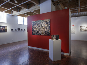 Photography exhibition Tableaux at Catherine Edelman Chicago 2018