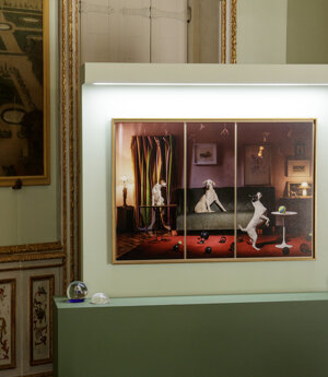 photography exhibition Divas dog portraits at Villa della Regina Torino