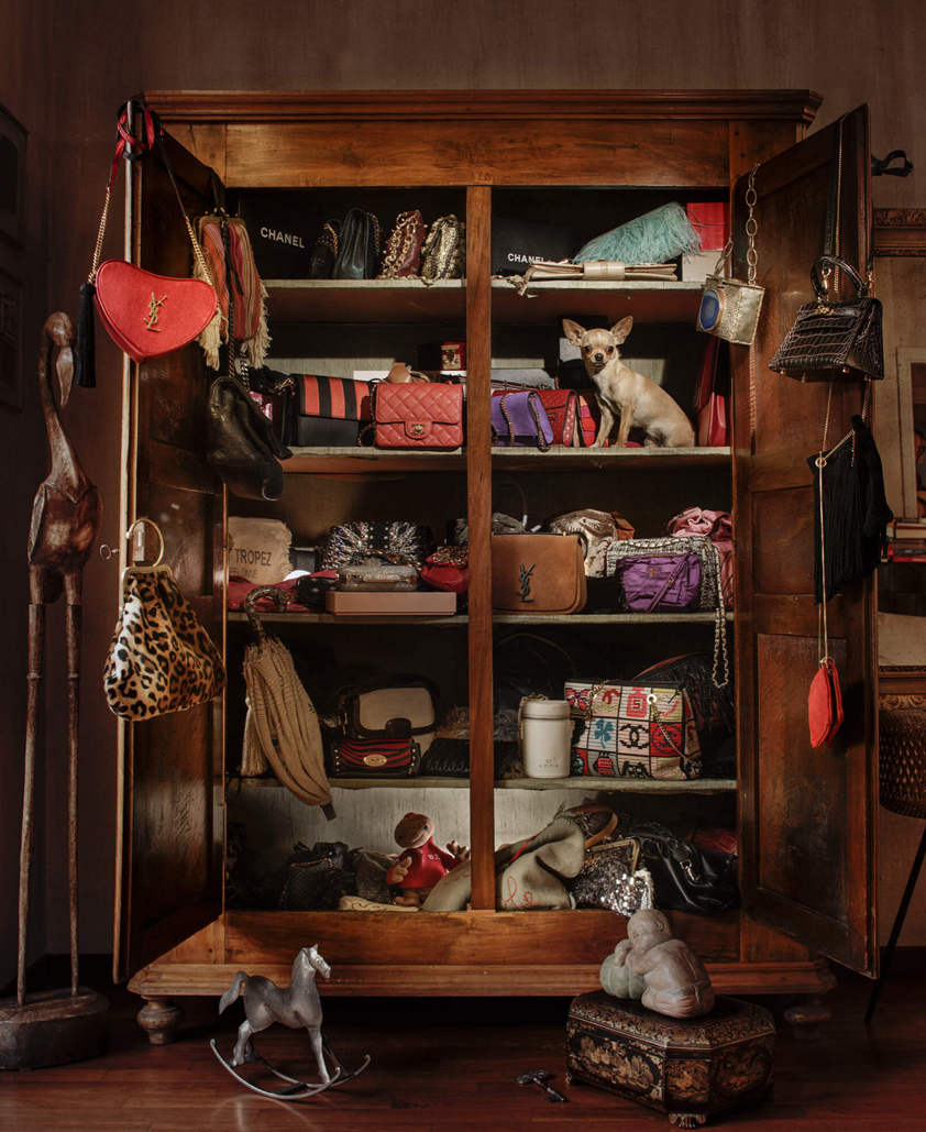 photography project about dogs in interiors
