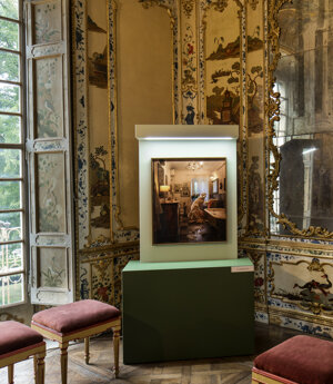 photography exhibition Divas dog portraits at Villa della Regina Torino