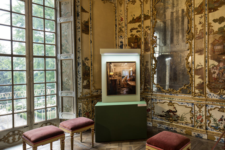 photography exhibition Divas dog portraits at Villa della Regina Torino
