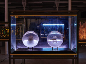 art director of La Fabbrica del Mondo installation for Marco Paolini and Telmo Pievani television program on Rai3