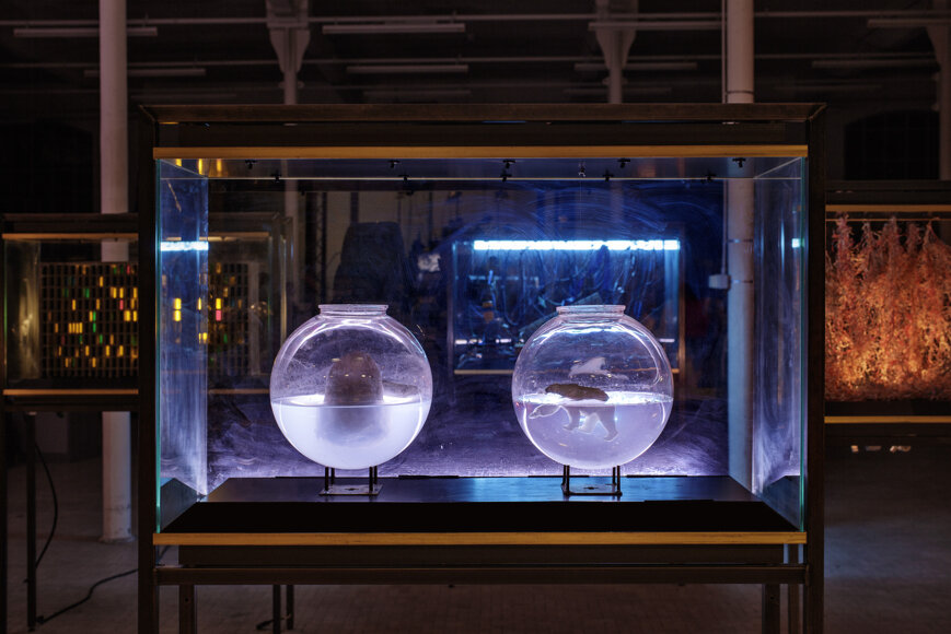 art director of La Fabbrica del Mondo installation for Marco Paolini and Telmo Pievani television program on Rai3