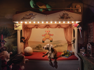 photography project about dogs in interiors