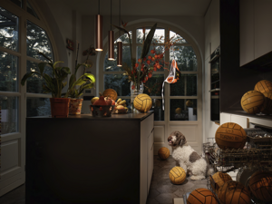 photography project about dogs in interiors