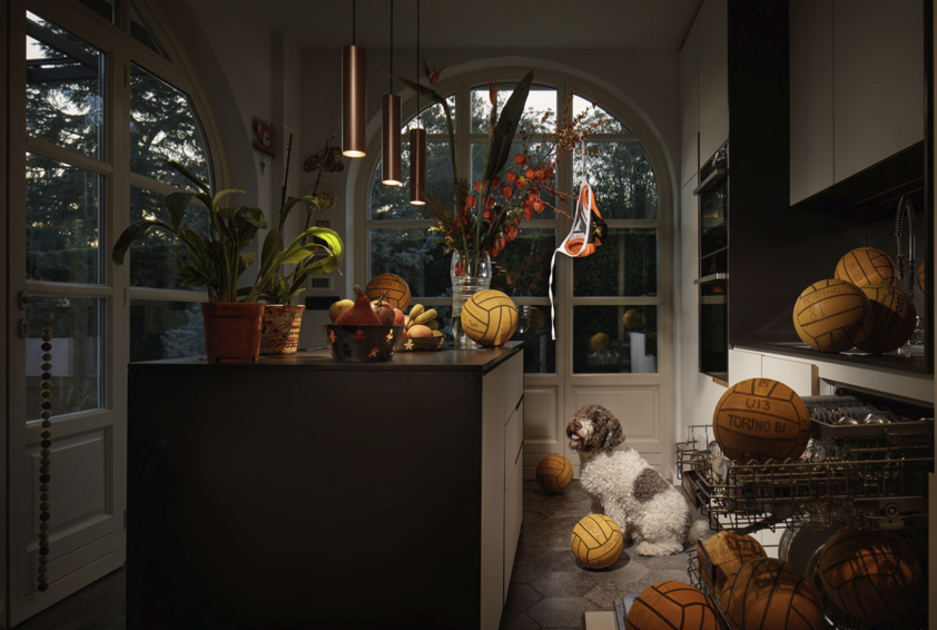 photography project about dogs in interiors