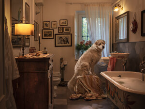 schermata%202023-10-24%20alle%2012.46.16