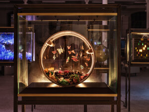 art director of La Fabbrica del Mondo installation for Marco Paolini and Telmo Pievani television program on Rai3