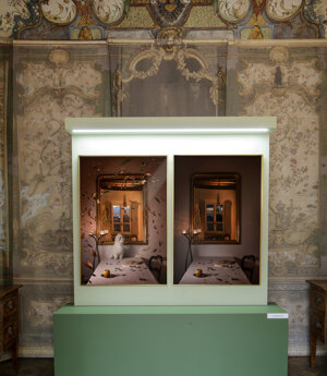 photography exhibition Divas dog portraits at Villa della Regina Torino