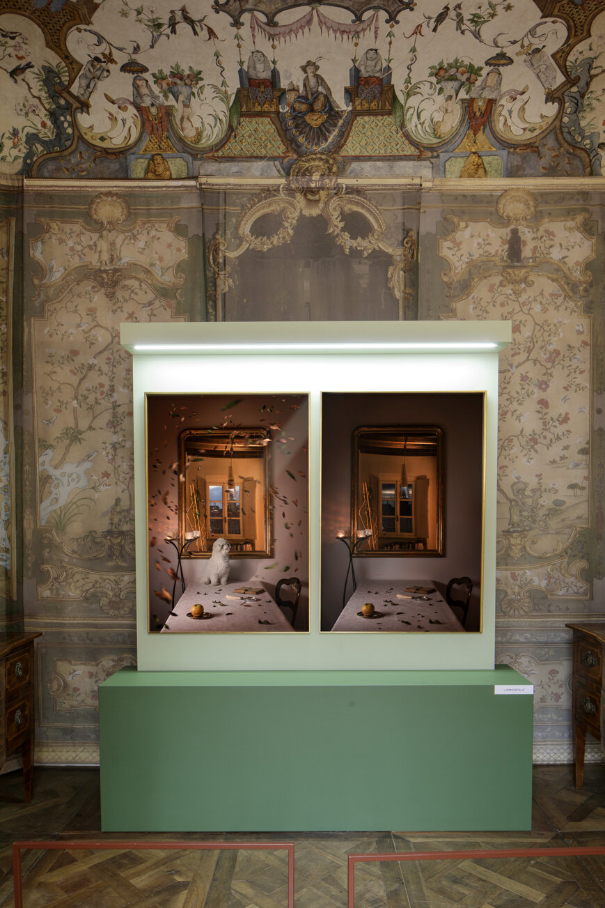 photography exhibition Divas dog portraits at Villa della Regina Torino