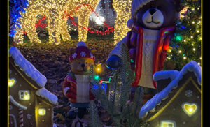 631870dfbe24f58136afd7dc634f8a3f3dc8b858