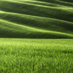 JTdCJTIyaXQlMjIlM0ElMjJMaW5lZSUyMG5hdHVyYWxpJTIwbmVsJTIwcGFlc2FnZ2lvJTIwZGVsbGElMjBWYWwlMjBkJUUyJTgwJTk5T3JjaWElMjIlN0Q= JTdCJTIyaXQlMjIlM0ElMjJMaW5lZSUyMG5hdHVyYWxpJTIwbmVsJTIwcGFlc2FnZ2lvJTIwZGVsbGElMjBWYWwlMjBkJUUyJTgwJTk5T3JjaWElMjIlN0Q=