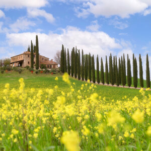 JTdCJTIyaXQlMjIlM0ElMjJQYWVzYWdnaW8lMjBjb2xsaW5hcmUlMjBkZWxsYSUyMFZhbCUyMGQlRTIlODAlOTlPcmNpYSUyMGNvbiUyMGZpbGFyaSUyMGRpJTIwY2lwcmVzc2klMjIlN0Q= JTdCJTIyaXQlMjIlM0ElMjJQYWVzYWdnaW8lMjBjb2xsaW5hcmUlMjBkZWxsYSUyMFZhbCUyMGQlRTIlODAlOTlPcmNpYSUyMGNvbiUyMGZpbGFyaSUyMGRpJTIwY2lwcmVzc2klMjIlN0Q=